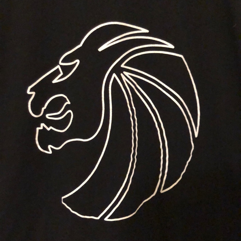 Seven Lions concert Tee